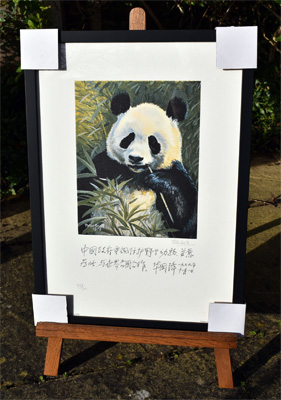 Framed example of Giant Panda