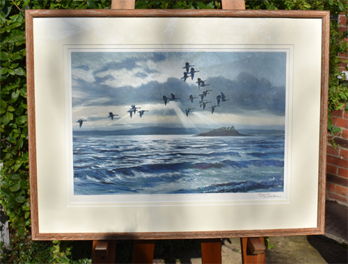 Framed example of Greylags at Chapel Island with a Flood Tide
