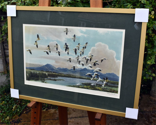 Framed example of Snow Geese in California