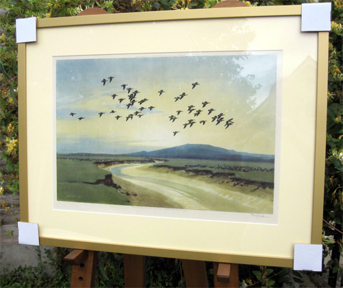 Framed example of The Last of the Solway Barnacles