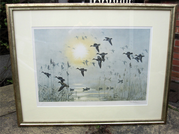 Framed example of Wigeon on a Misty Morning