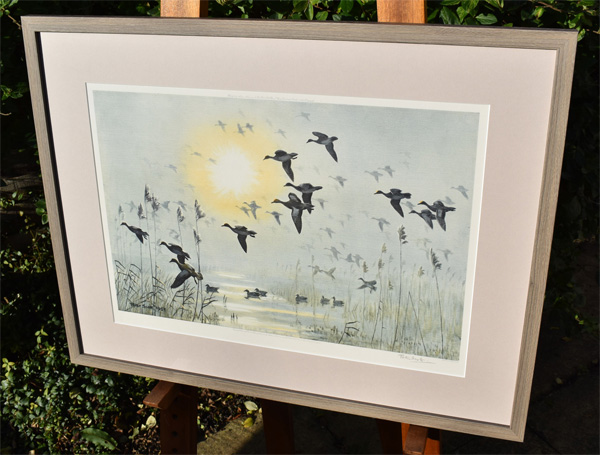 Framed example of Wigeon on a Misty Morning