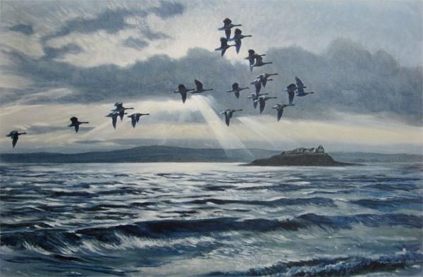 Sir Peter Markham Scott: Greylags at Chapel Island with a Flood Tide