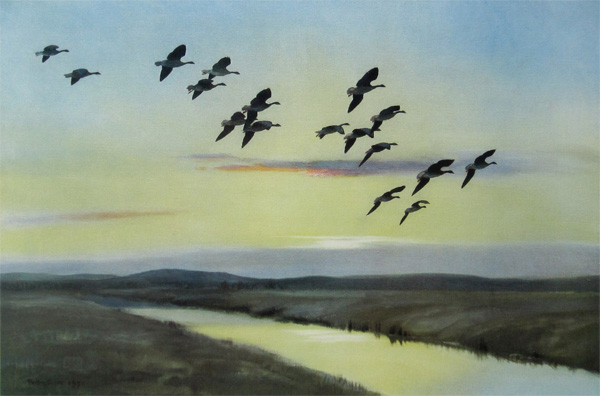 Sir Peter Markham Scott: Morning Flight Over the Marsh