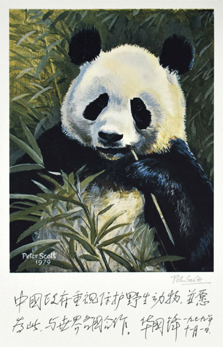 Sir Peter Scott: Panda Diplomacy