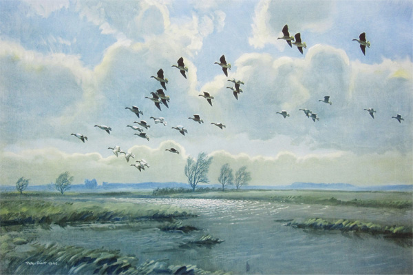 Sir Peter Markham Scott: Pink Feet in the Green Marshes