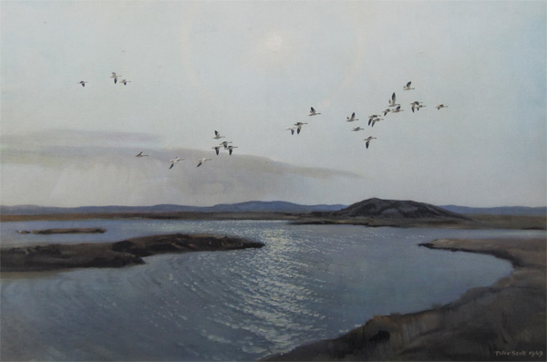 Sir Peter Markham Scott: Summertime in the Canadian Arctic - Ross's Geese