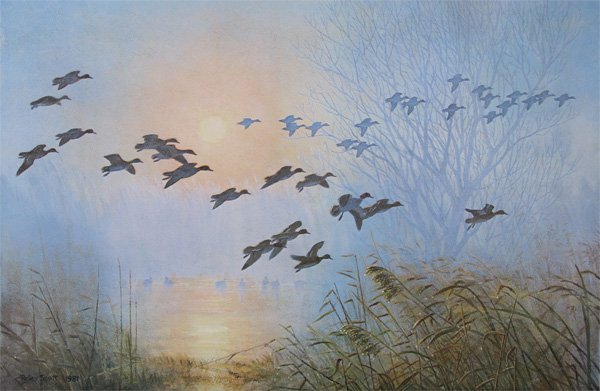Sir Peter Markham Scott: Teal Coming to the Pool, by the Willow, on a Misty Morning