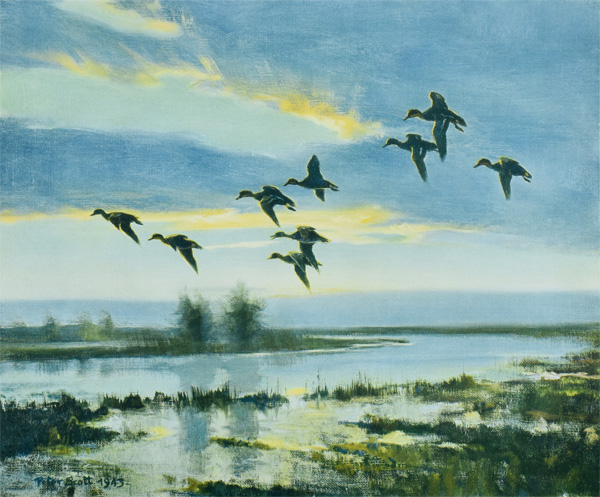 Sir Peter Scott: Teal in the Early Morning