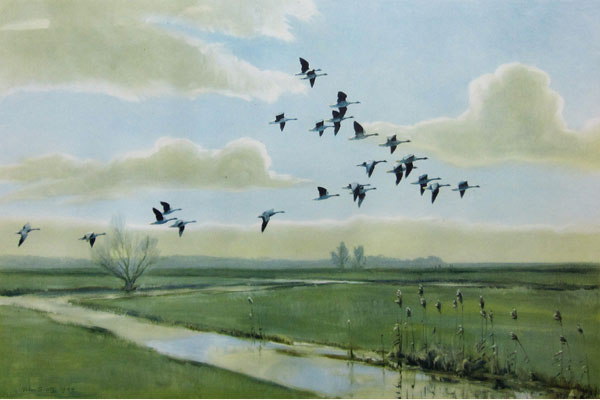 Pink Feet - The Wild Geese of England