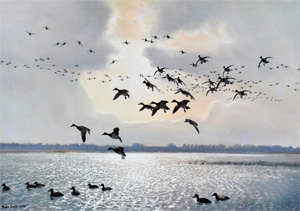 Click for details...