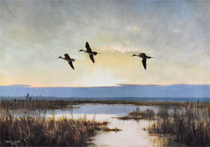 Click for details...