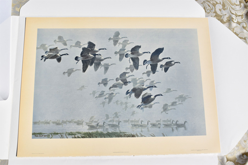 Canada Geese Arriving Out of a Mist