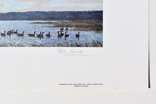 Canada Geese Coming to the Marsh - Artist's Signature