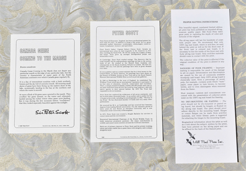 Canada Geese Coming to the Marsh - Inserts