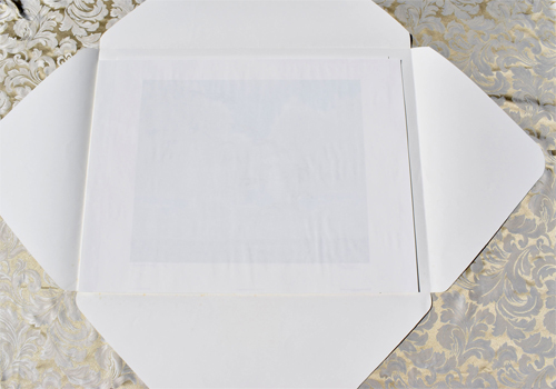 Canada Geese Coming to the Marsh - Open Envelope