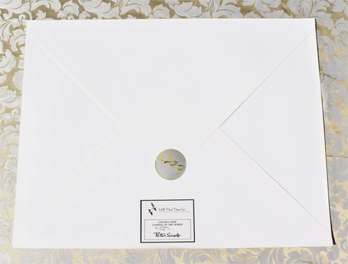 Canada Geese Coming to the Marsh - Publisher's Envelope