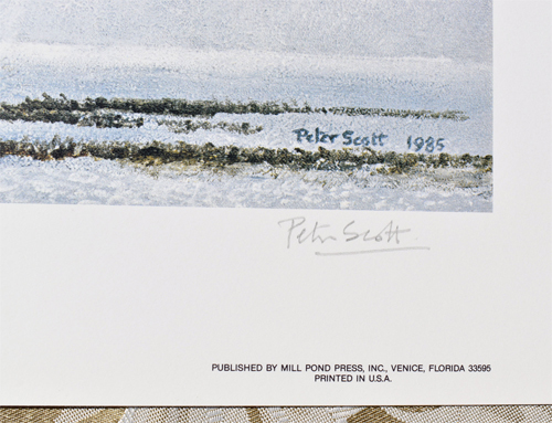 Canada Geese in a Silver Sky Artist's Signature