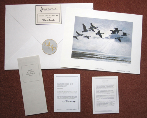 Canada Geese in a Silver Sky Publisher's Envelope and Inserts